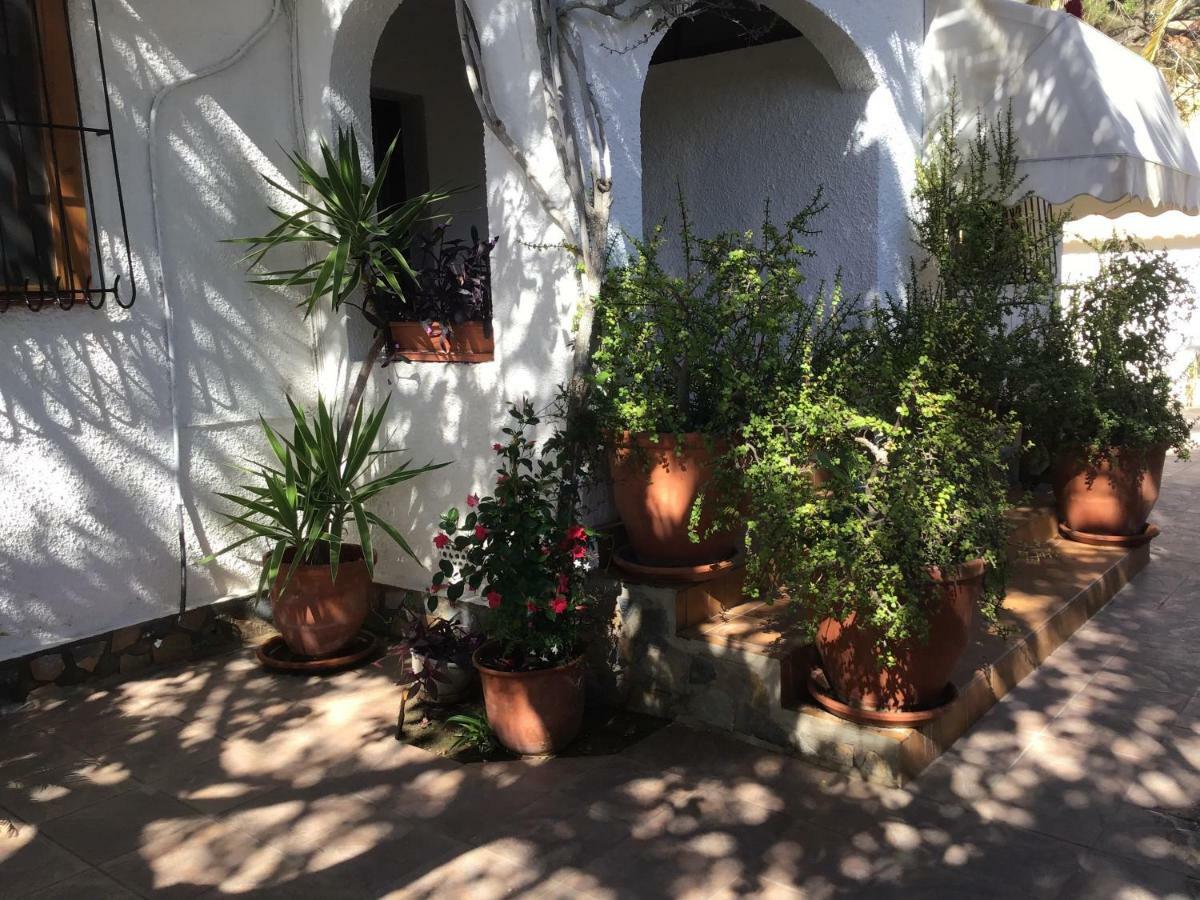 Villa La Marina Playa Flamenca Exterior photo